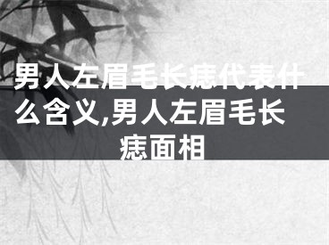 男人左眉毛长痣代表什么含义,男人左眉毛长痣面相