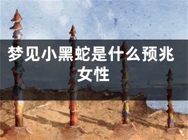 梦见小黑蛇是什么预兆女性