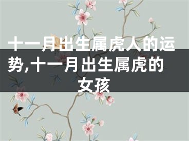 十一月出生属虎人的运势,十一月出生属虎的女孩