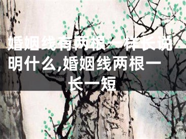 婚姻线有两根一样长说明什么,婚姻线两根一长一短