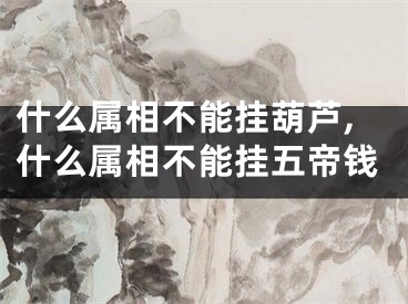 什么属相不能挂葫芦,什么属相不能挂五帝钱