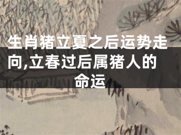 生肖猪立夏之后运势走向,立春过后属猪人的命运