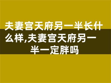 夫妻宫天府另一半长什么样,夫妻宫天府另一半一定胖吗