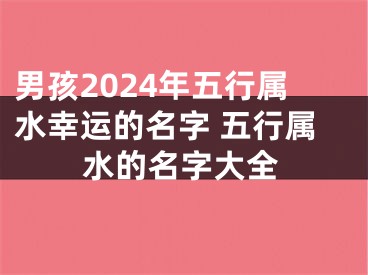男孩2024年五行属水幸运的名字 五行属水的名字大全