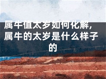属牛值太岁如何化解,属牛的太岁是什么样子的