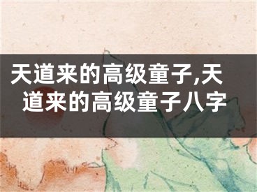天道来的高级童子,天道来的高级童子八字