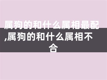 属狗的和什么属相最配,属狗的和什么属相不合