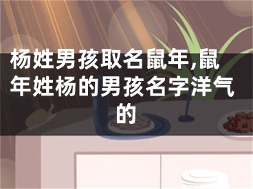 杨姓男孩取名鼠年,鼠年姓杨的男孩名字洋气的