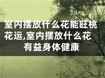 室内摆放什么花能旺桃花运,室内摆放什么花有益身体健康