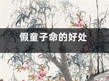 假童子命的好处