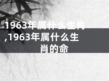 1963年属什么生肖,1963年属什么生肖的命