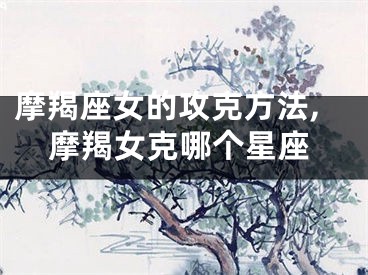 摩羯座女的攻克方法,摩羯女克哪个星座