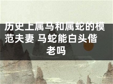 历史上属马和属蛇的模范夫妻 马蛇能白头偕老吗