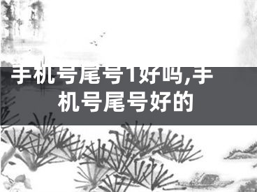 手机号尾号1好吗,手机号尾号好的