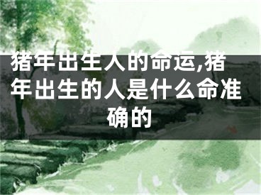 猪年出生人的命运,猪年出生的人是什么命准确的