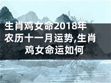 生肖鸡女命2018年农历十一月运势,生肖鸡女命运如何
