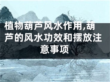 植物葫芦风水作用,葫芦的风水功效和摆放注意事项