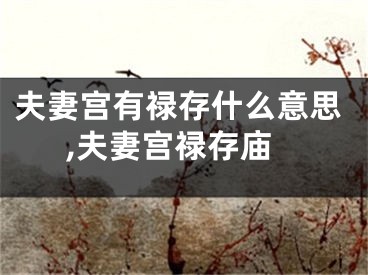 夫妻宫有禄存什么意思,夫妻宫禄存庙