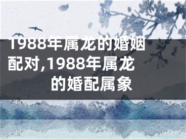 1988年属龙的婚姻配对,1988年属龙的婚配属象