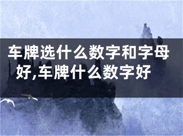 车牌选什么数字和字母好,车牌什么数字好