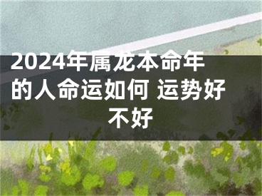 2024年属龙本命年的人命运如何 运势好不好