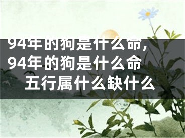 94年的狗是什么命,94年的狗是什么命 五行属什么缺什么