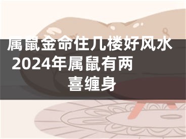 属鼠金命住几楼好风水 2024年属鼠有两喜缠身