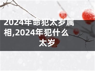 2024年命犯太岁属相,2024年犯什么太岁