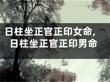 日柱坐正官正印女命,日柱坐正官正印男命