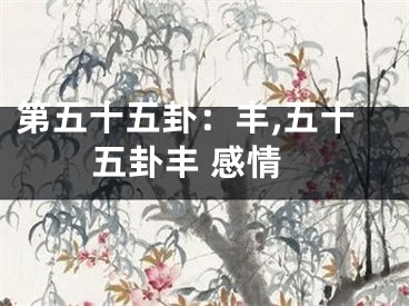 第五十五卦：丰,五十五卦丰 感情