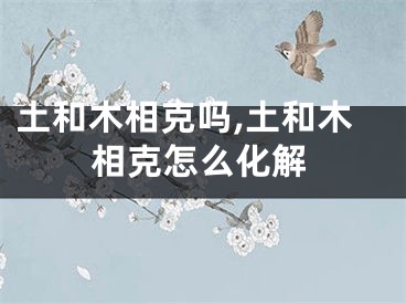 土和木相克吗,土和木相克怎么化解