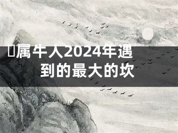 ​属牛人2024年遇到的最大的坎