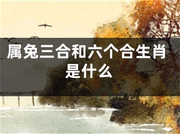 属兔三合和六个合生肖是什么