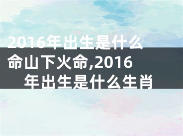 2016年出生是什么命山下火命,2016年出生是什么生肖