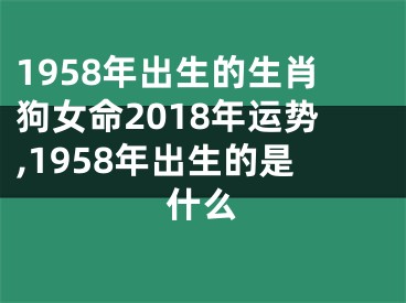 1958年出生的生肖狗女命2018年运势,1958年出生的是什么