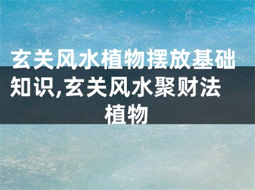 玄关风水植物摆放基础知识,玄关风水聚财法植物