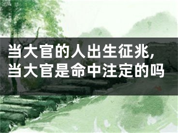 当大官的人出生征兆,当大官是命中注定的吗
