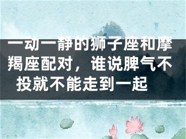 一动一静的狮子座和摩羯座配对，谁说脾气不投就不能走到一起 