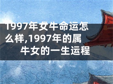 1997年女牛命运怎么样,1997年的属牛女的一生运程