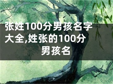 张姓100分男孩名字大全,姓张的100分男孩名