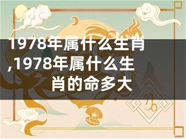 1978年属什么生肖,1978年属什么生肖的命多大