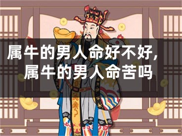 属牛的男人命好不好,属牛的男人命苦吗