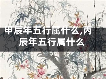 甲辰年五行属什么,丙辰年五行属什么