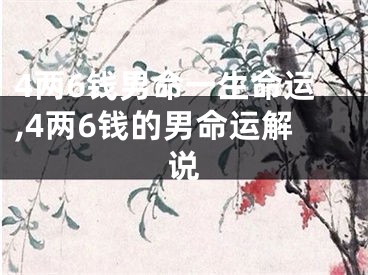 4两6钱男命一生命运,4两6钱的男命运解说