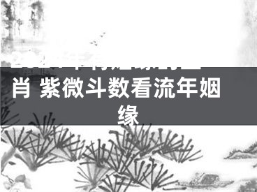 2024年有姻缘的生肖 紫微斗数看流年姻缘