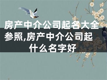 房产中介公司起名大全参照,房产中介公司起什么名字好