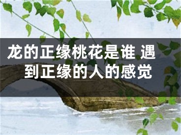 龙的正缘桃花是谁 遇到正缘的人的感觉
