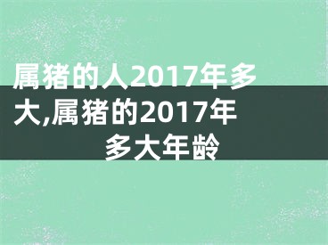 属猪的人2017年多大,属猪的2017年多大年龄