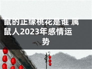 鼠的正缘桃花是谁 属鼠人2023年感情运势