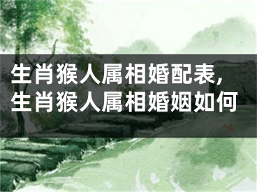 生肖猴人属相婚配表,生肖猴人属相婚姻如何